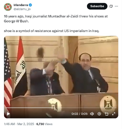 pal shoes against bush.jpg