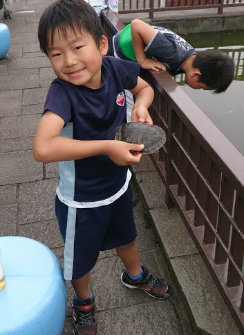 20160528401.jpg