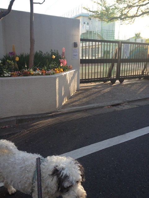 201304080703_5322_iphone.jpg