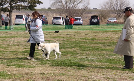IMG_9229.JPG