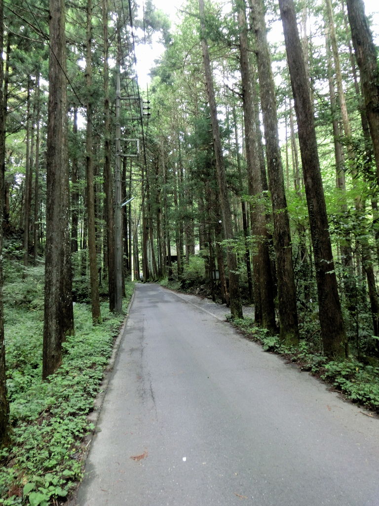 20110925-09.jpg
