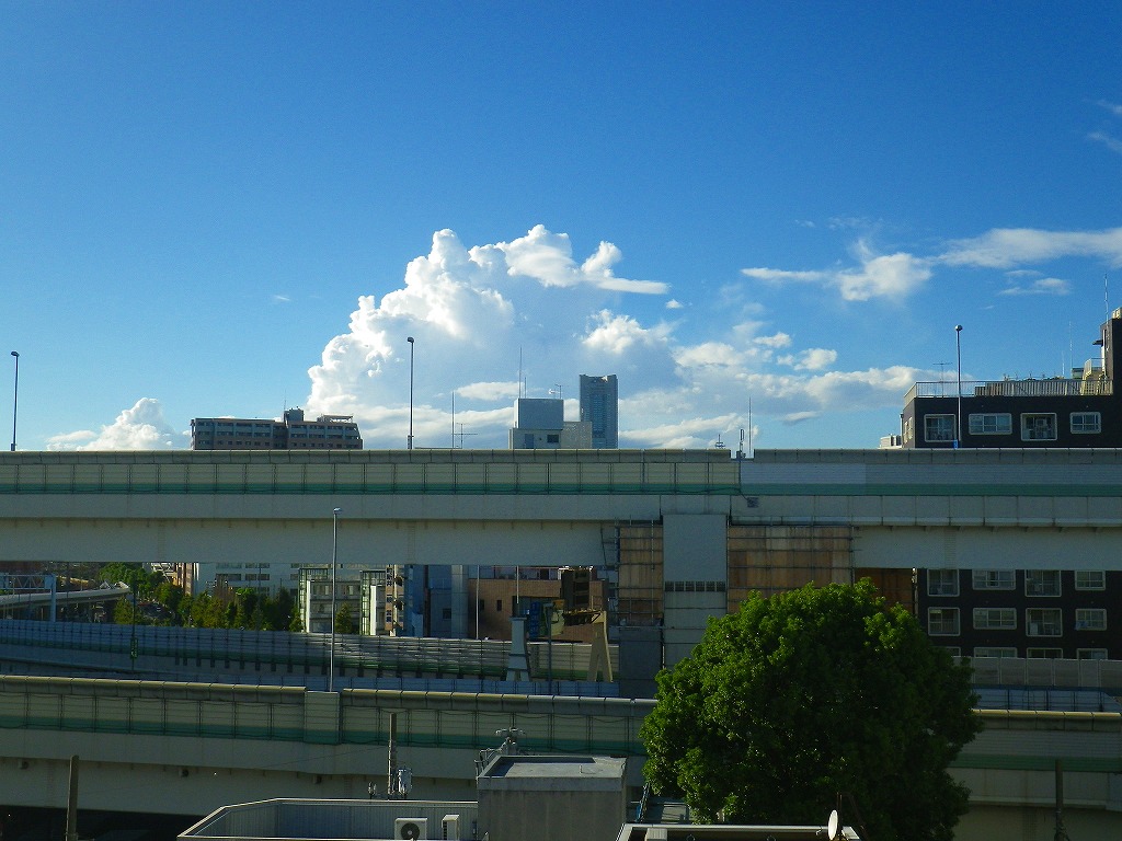 IMGP1177.jpg