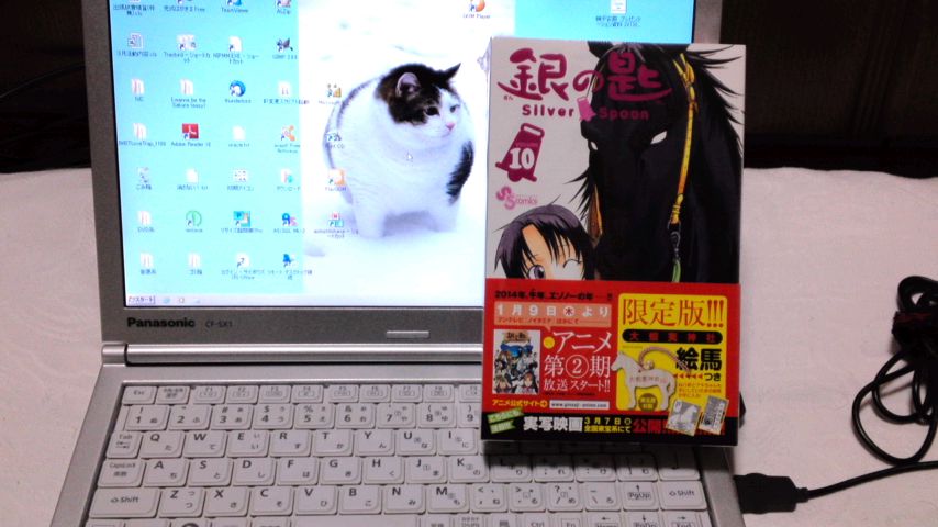 mini_140111_2142.jpg