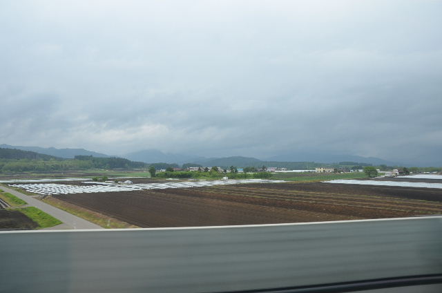 DSC_1321.JPG