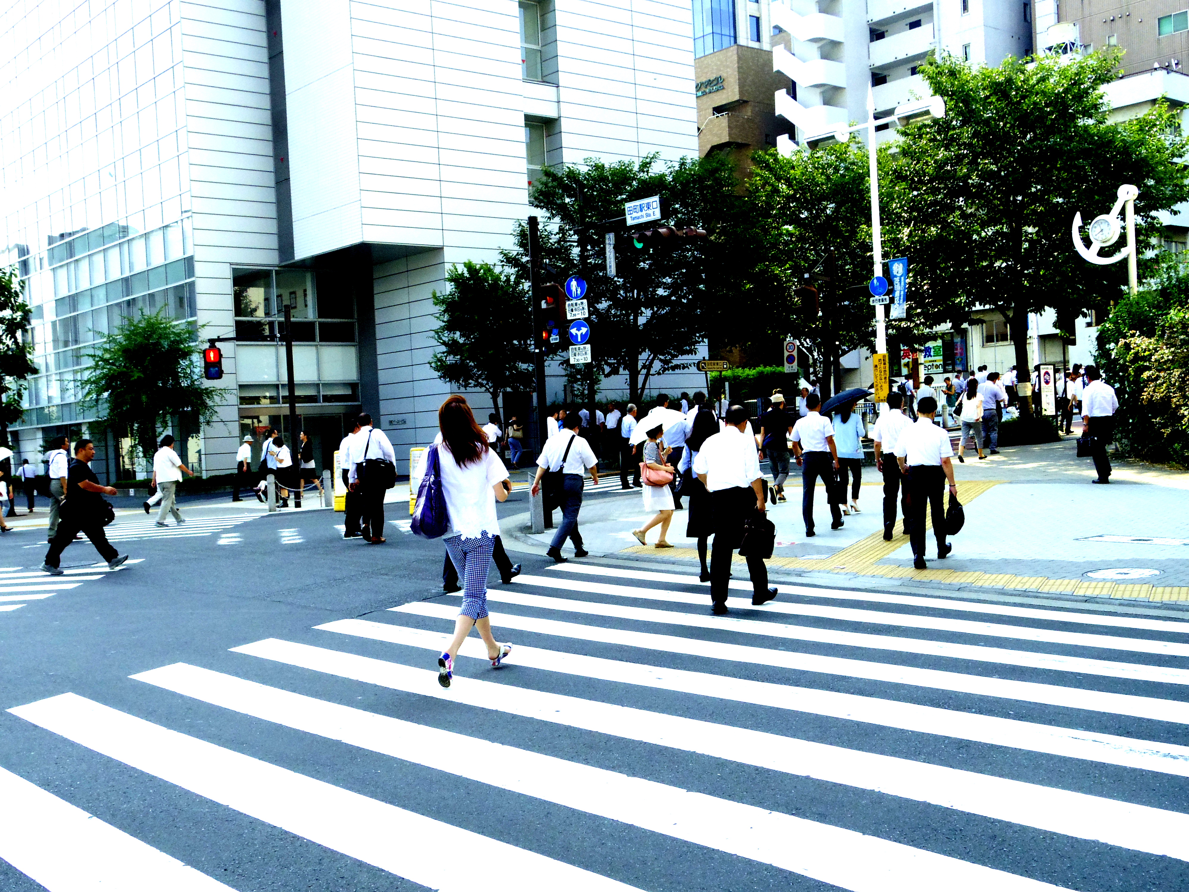 IMGP1038.JPG