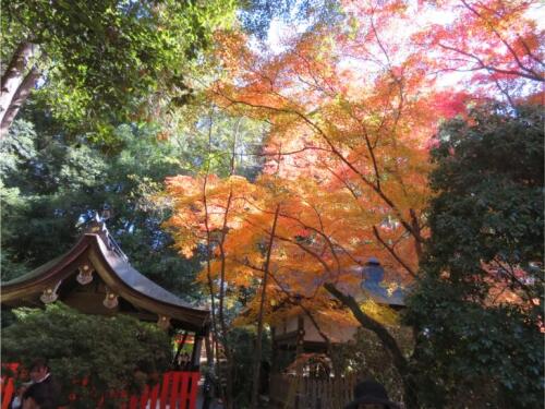 上賀茂神社 (29).jpg