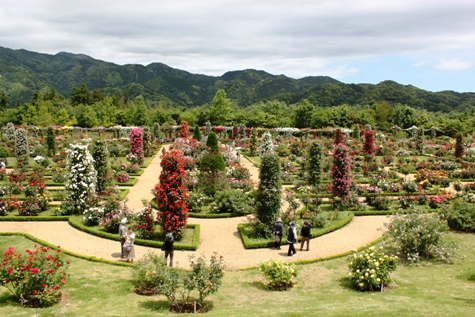 バカテル公園.JPG