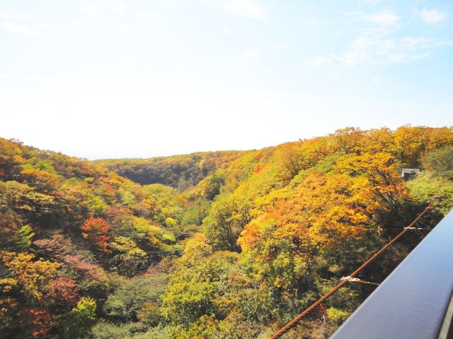 151015tsutsujitsuribashi2.jpg