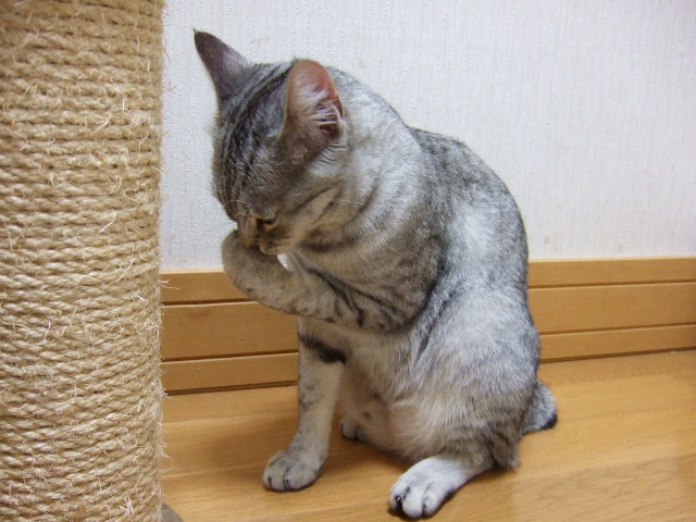 DSCF3210.JPG