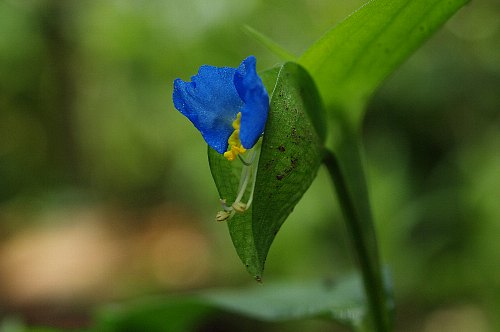 0627-4.jpg