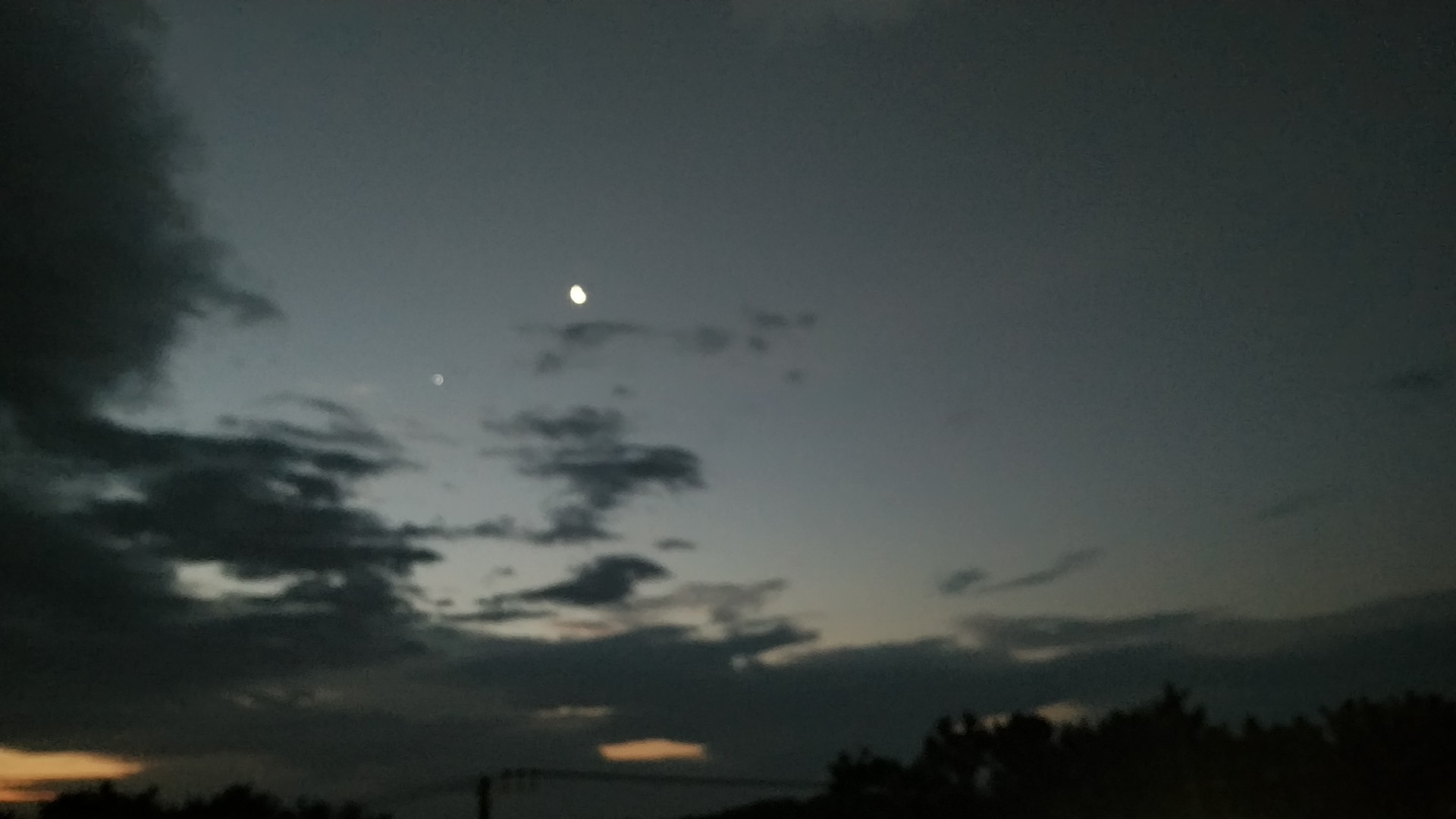 20190131  DSC_0001.jpg.jpg