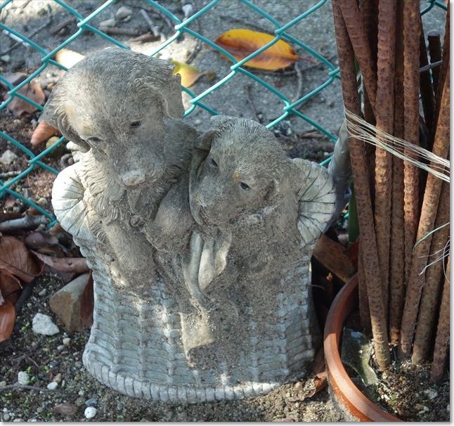 40足元に・・・