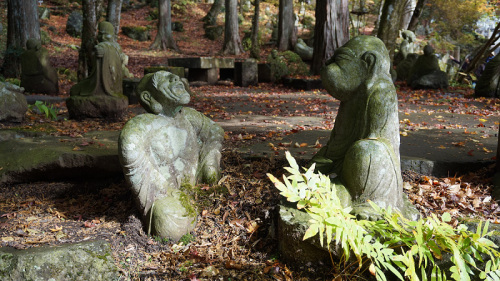 20141112 11255801.jpg