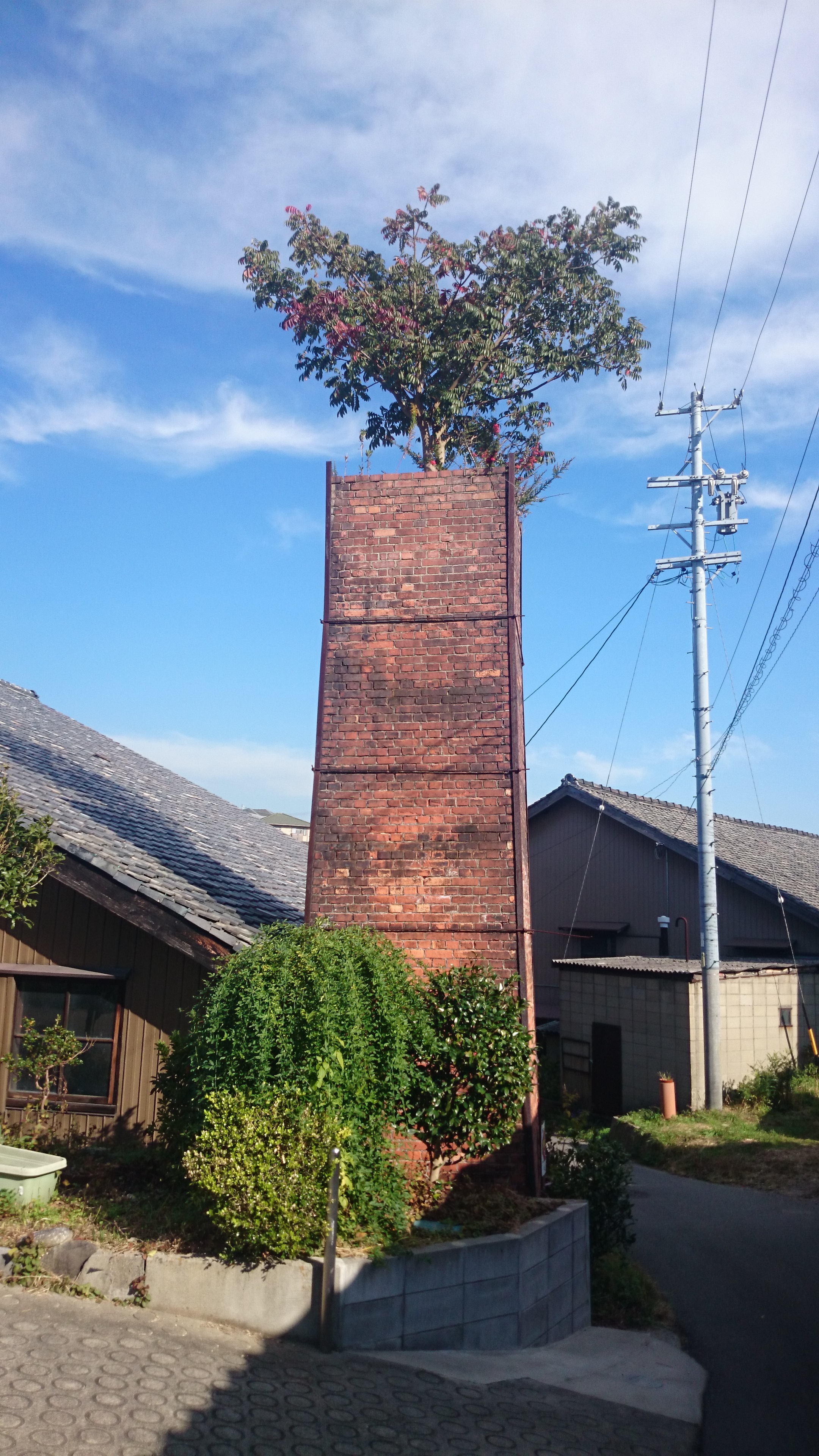 2015-11-05 13.34.30.jpg