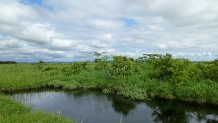 douhokunotabi2012.7-sarobetu-a.jpg