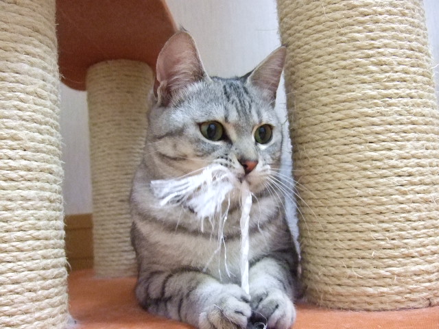 DSCF3186.JPG