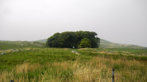 008カルストロード (3).JPG