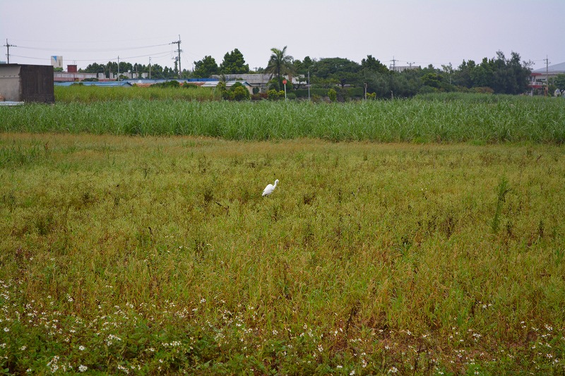 DSC_0837.jpg
