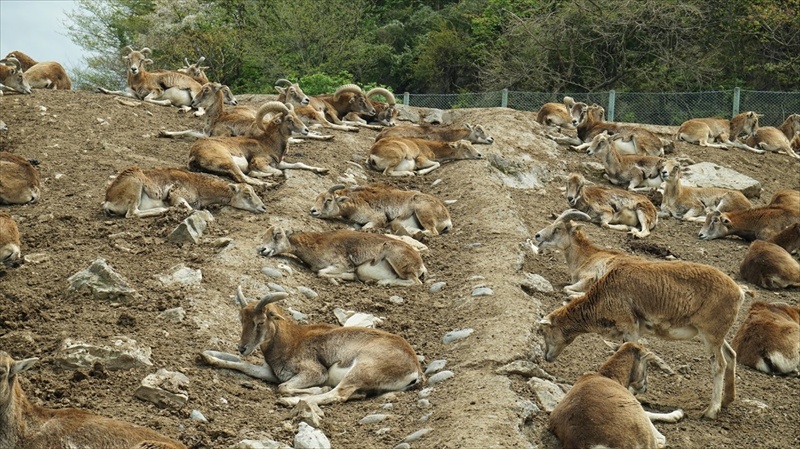 20150420 12254801.JPG