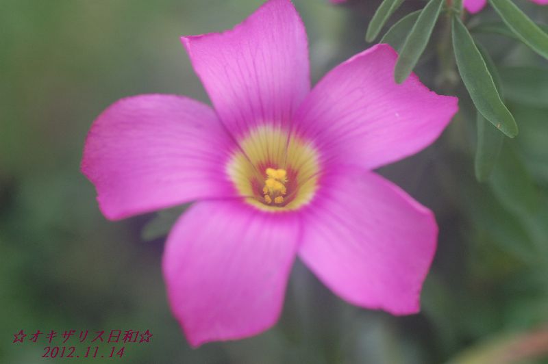 DSC_4864.JPG