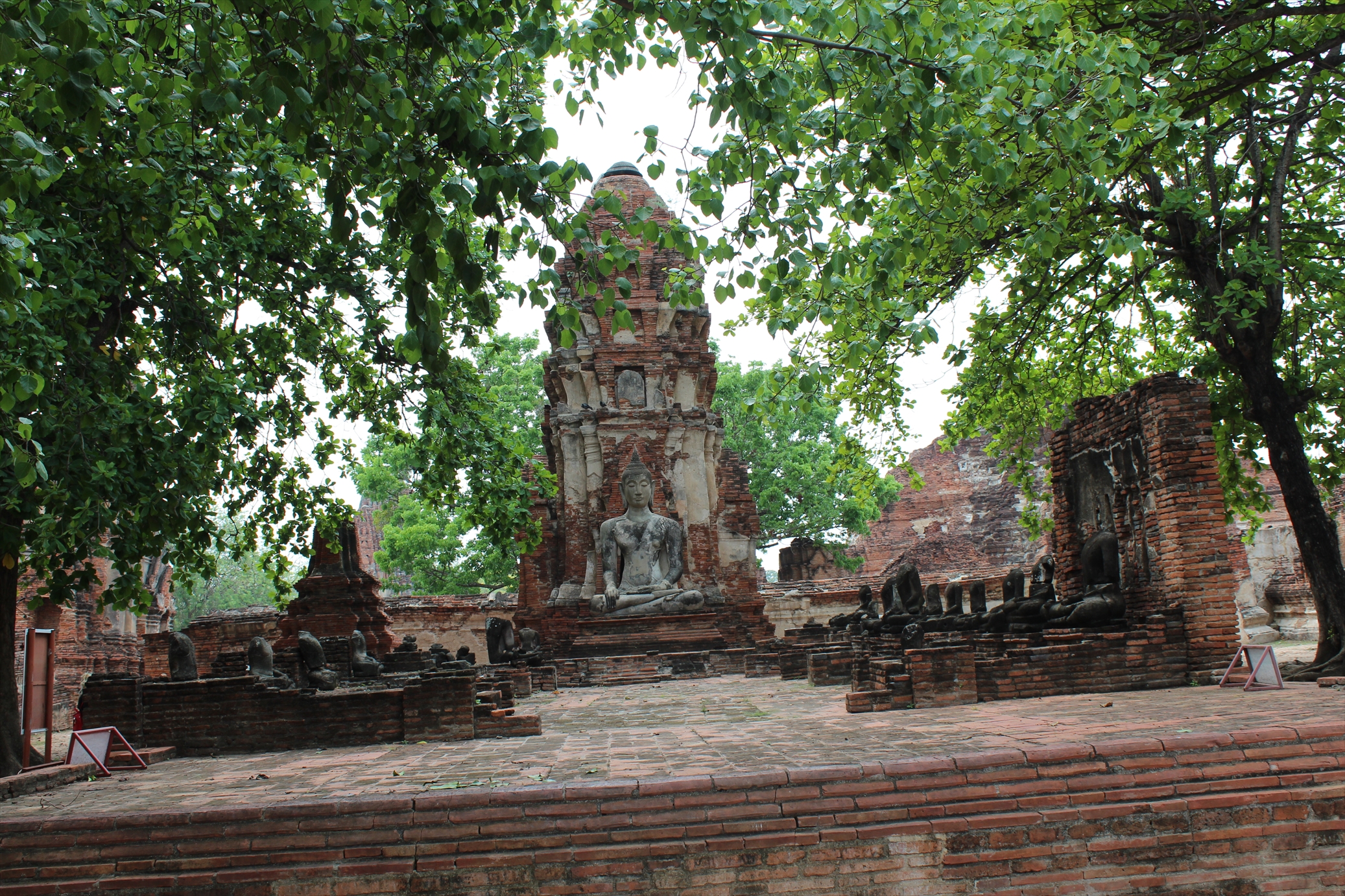 IMG_4803_R.JPG