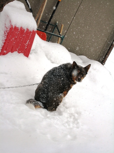 ライト　2008.3.1 その２.JPG