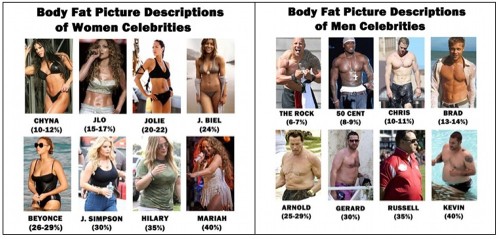 体脂肪率による見た目 絵 写真 体質が変われば人生も変わる 楽天ブログ