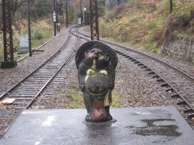 ホーム端のたぬき