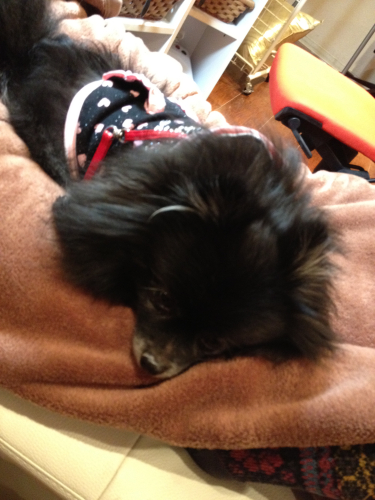 201202032237_1403_iphone.jpg
