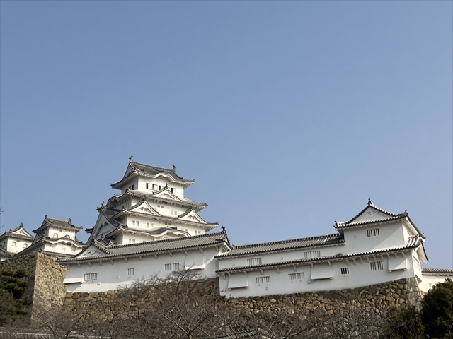 IMG_1907_R.JPG