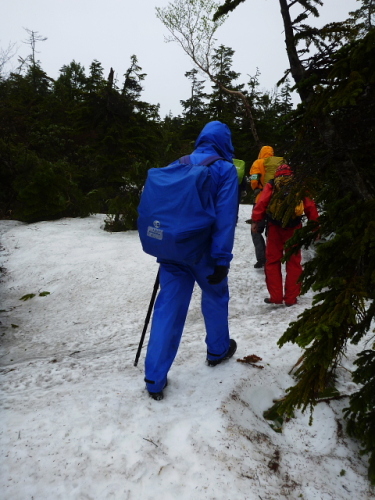 至仏山高山植物柵立て7.jpg