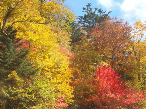 2015-10-13 11.26.02.jpg