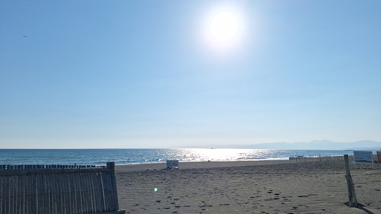 IMG_20250227_151402.jpg