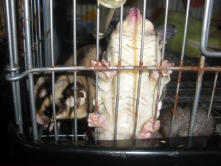 IMGP5163.JPG