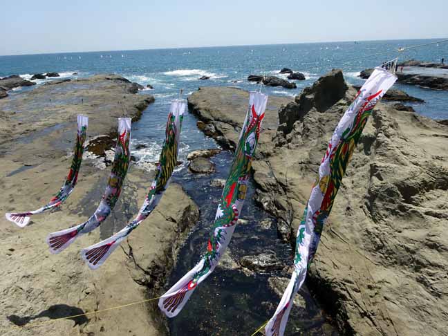 江の島龍登り.JPG