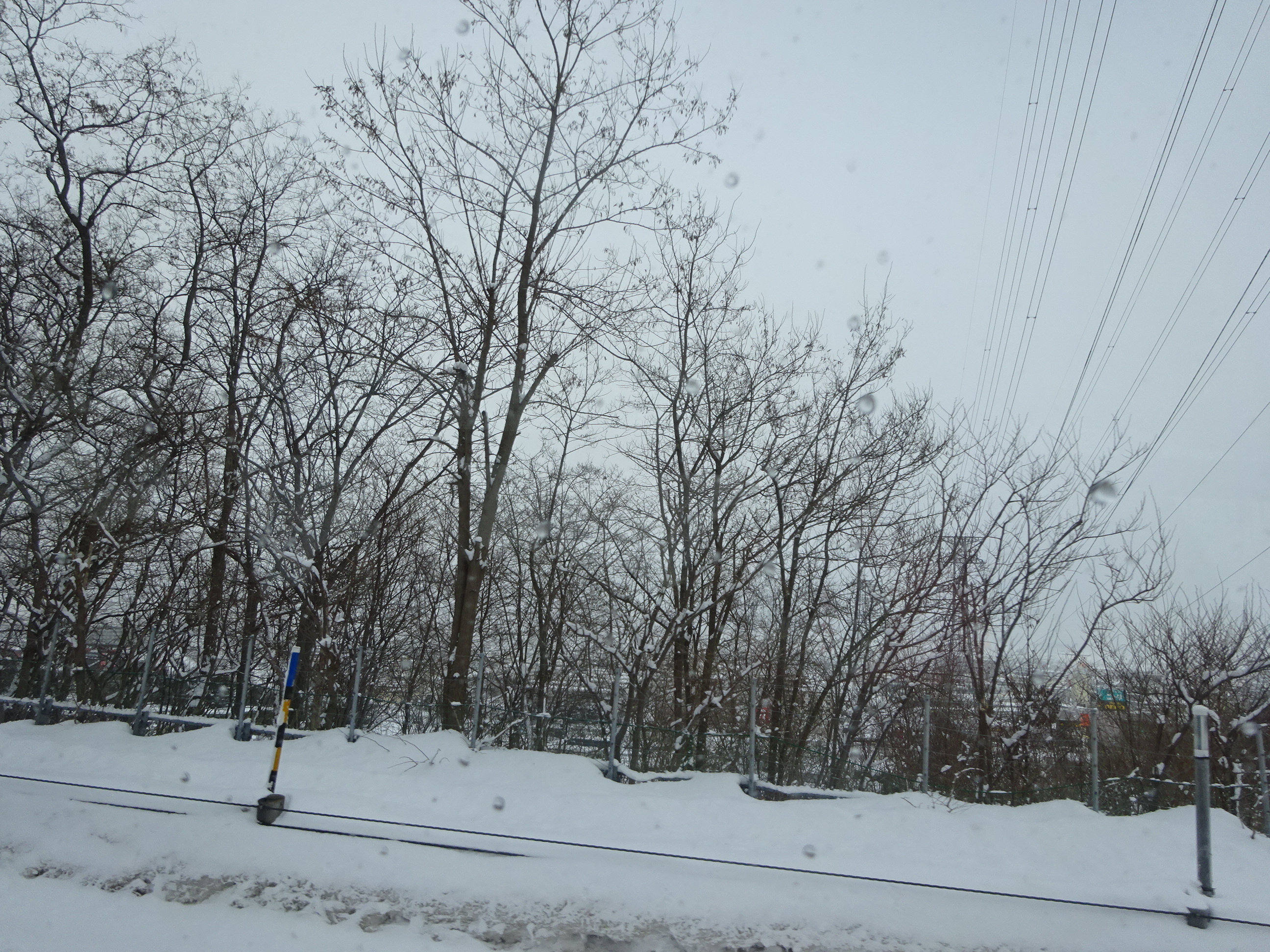 小樽からの道中 (9).JPG