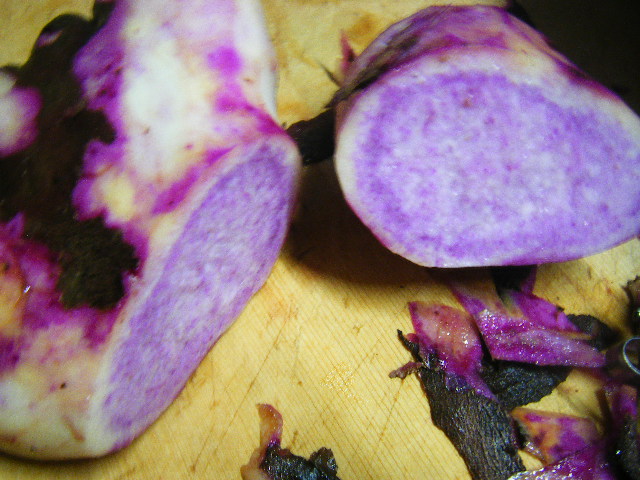 DSCF0449.JPG