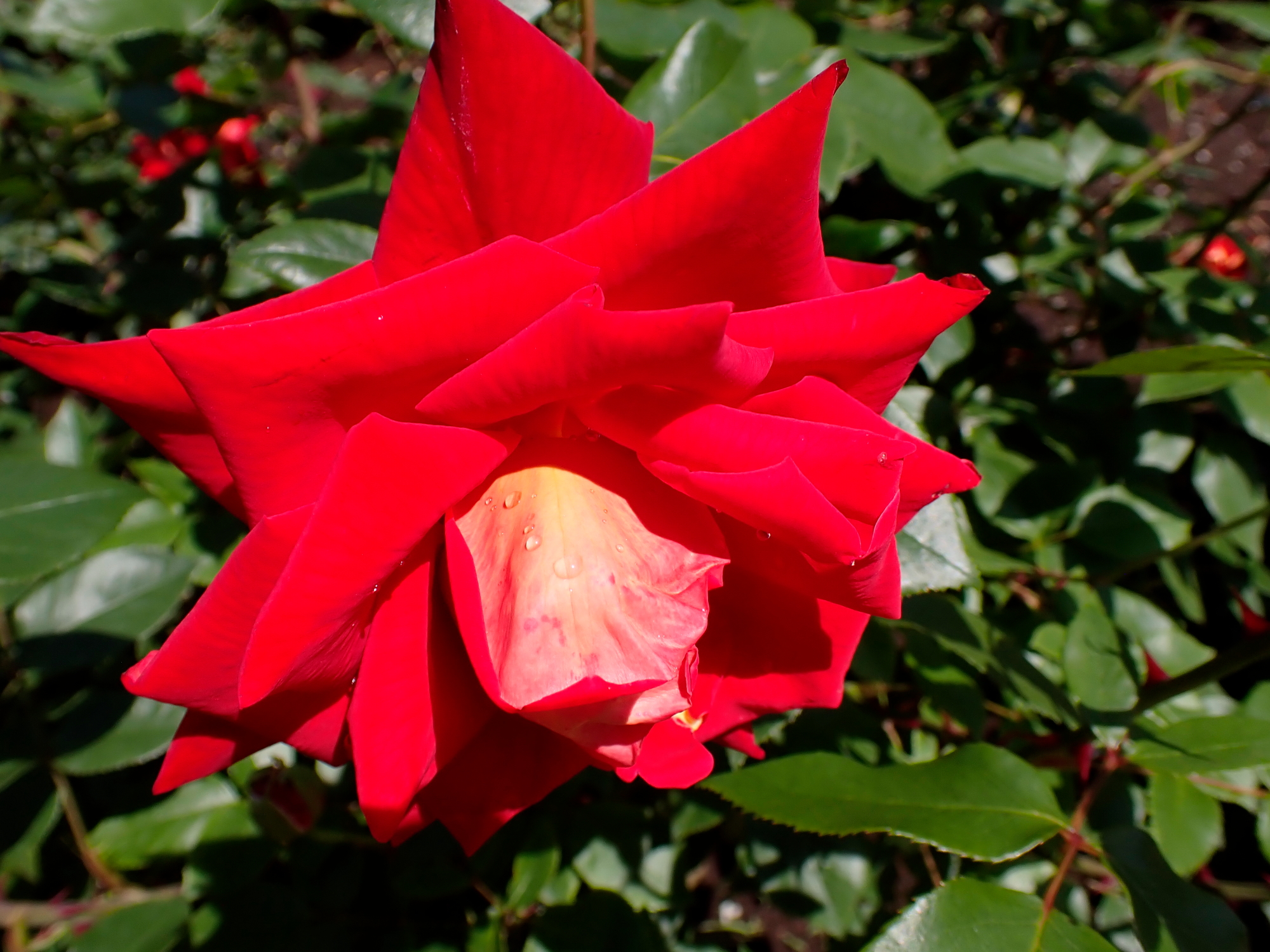 _5030148.JPG
