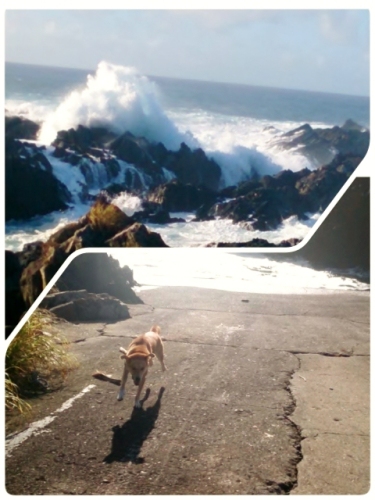 2014-08-06-10-16-25_deco (480x640).jpg