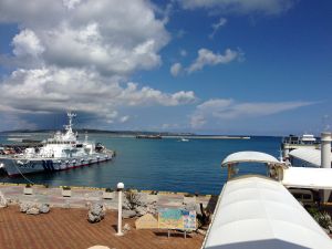 IMG_3944.jpg