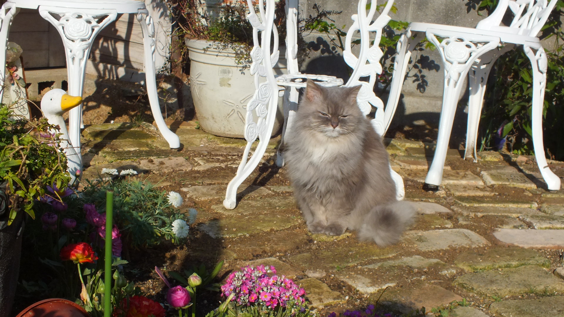 DSCF5828.JPG