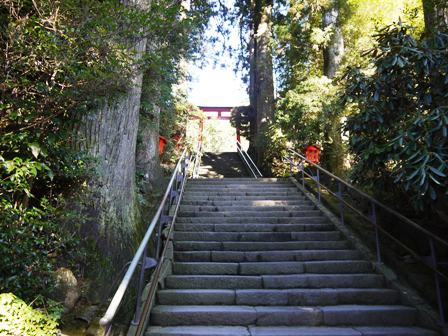 箱根神社階段.jpg