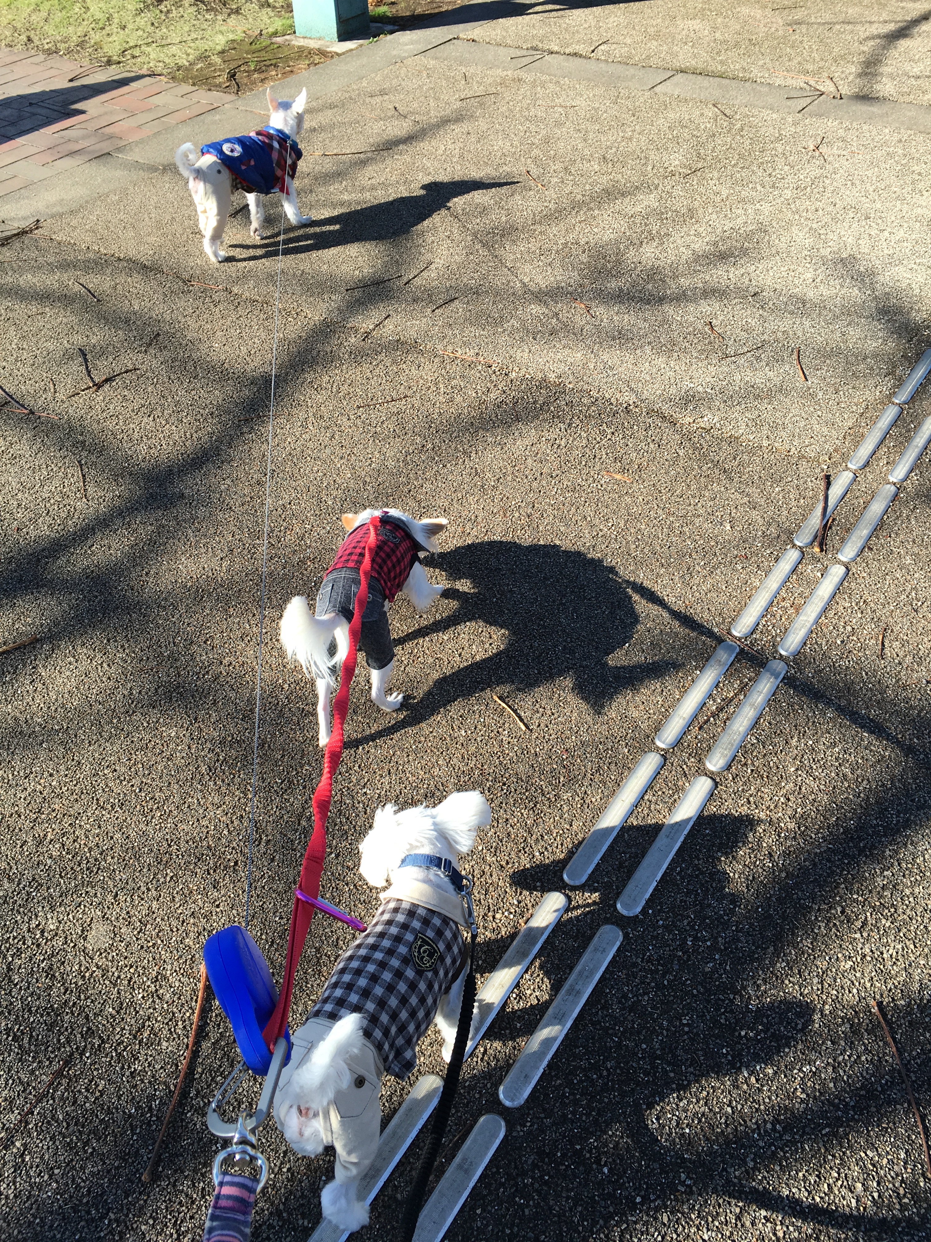 201511272017_4139_iphone.jpg