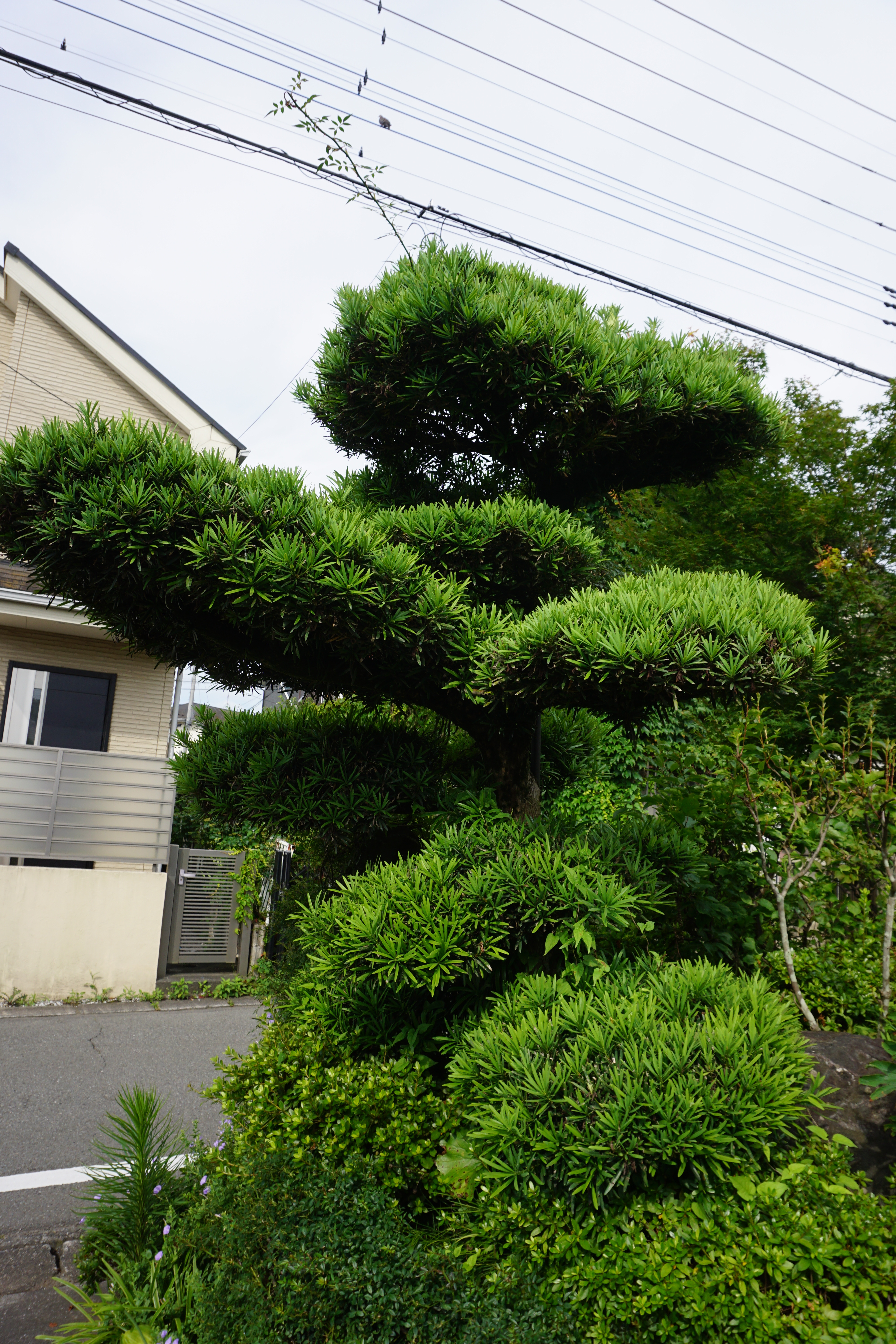 2023年7月2-2.JPG