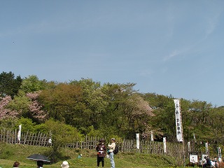P4290050.jpg