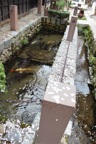 日本の音風景百選 (6).JPG