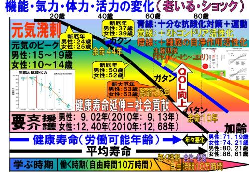 機能・気力・体力・活力の変化1410.jpg
