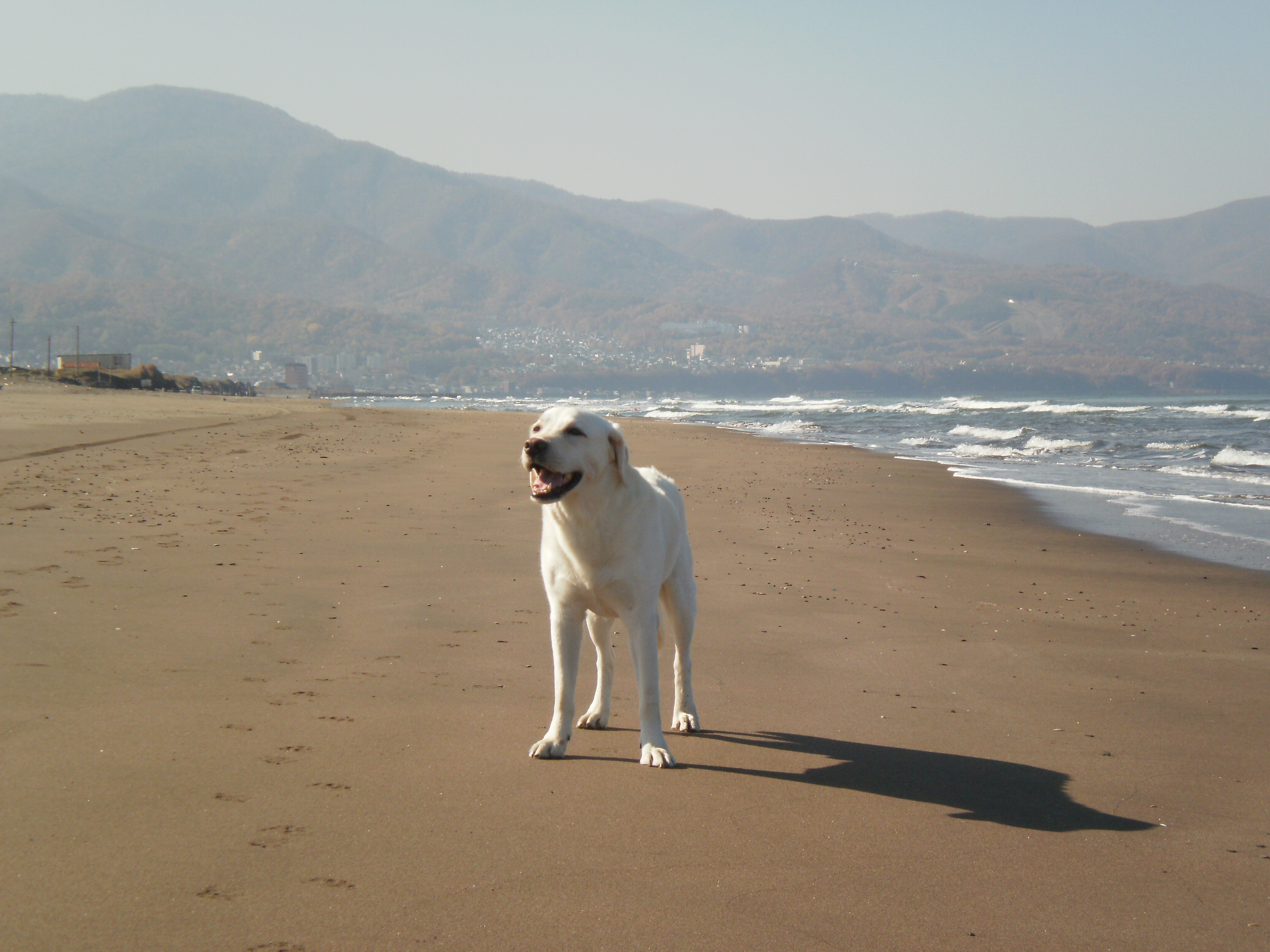 きもちのよいかぜ