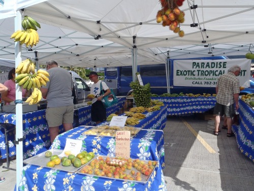 ２０１２年ハワイ 487.jpg