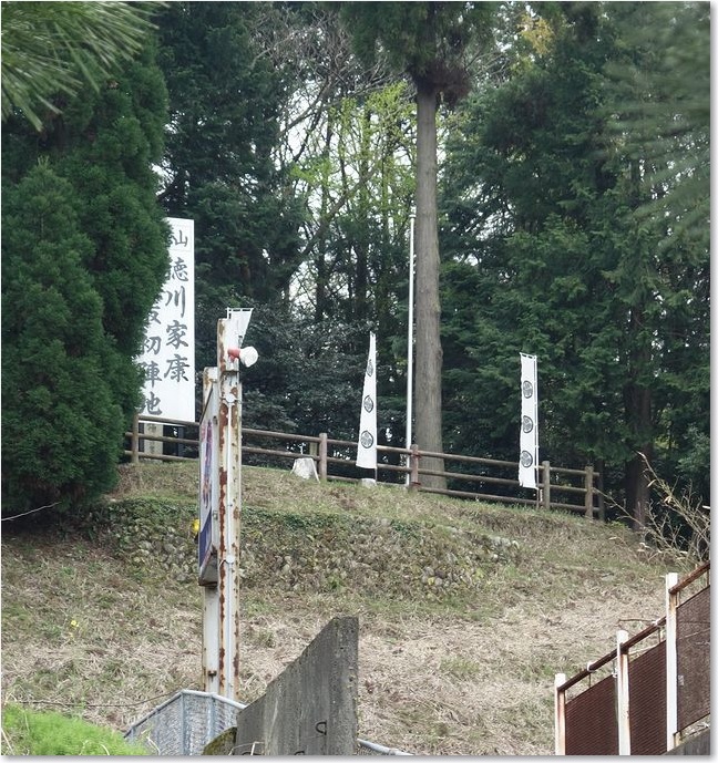 62三つ葉葵が見えます